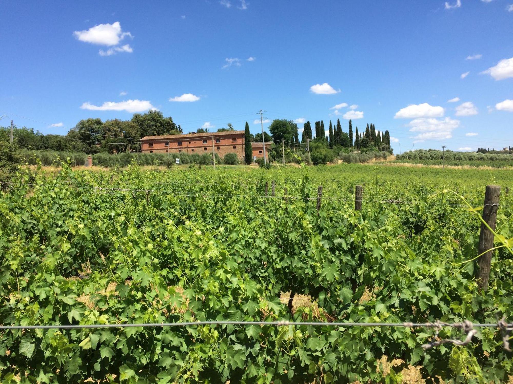 Agriturismo Fattoria Santa Vittoria Pozzo  ภายนอก รูปภาพ